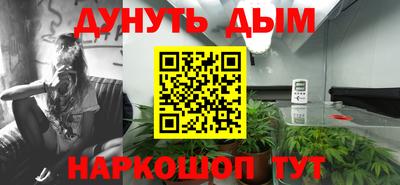 ГАЛЛЮЦИНОГЕННЫЕ ГРИБЫ Канаш