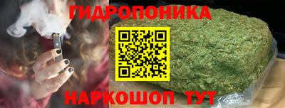 ГАЛЛЮЦИНОГЕННЫЕ ГРИБЫ Канаш