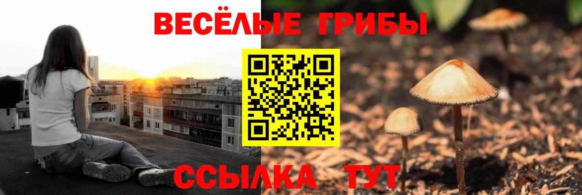 Лянтор  сколько стоит  Вход с VPN  Псилоцибиновые грибы Magic Shrooms 
